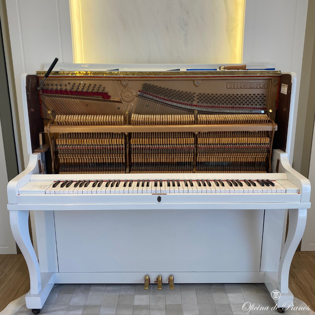 Restauração, Afinação, Transporte, Manutenção, Compra e Venda.