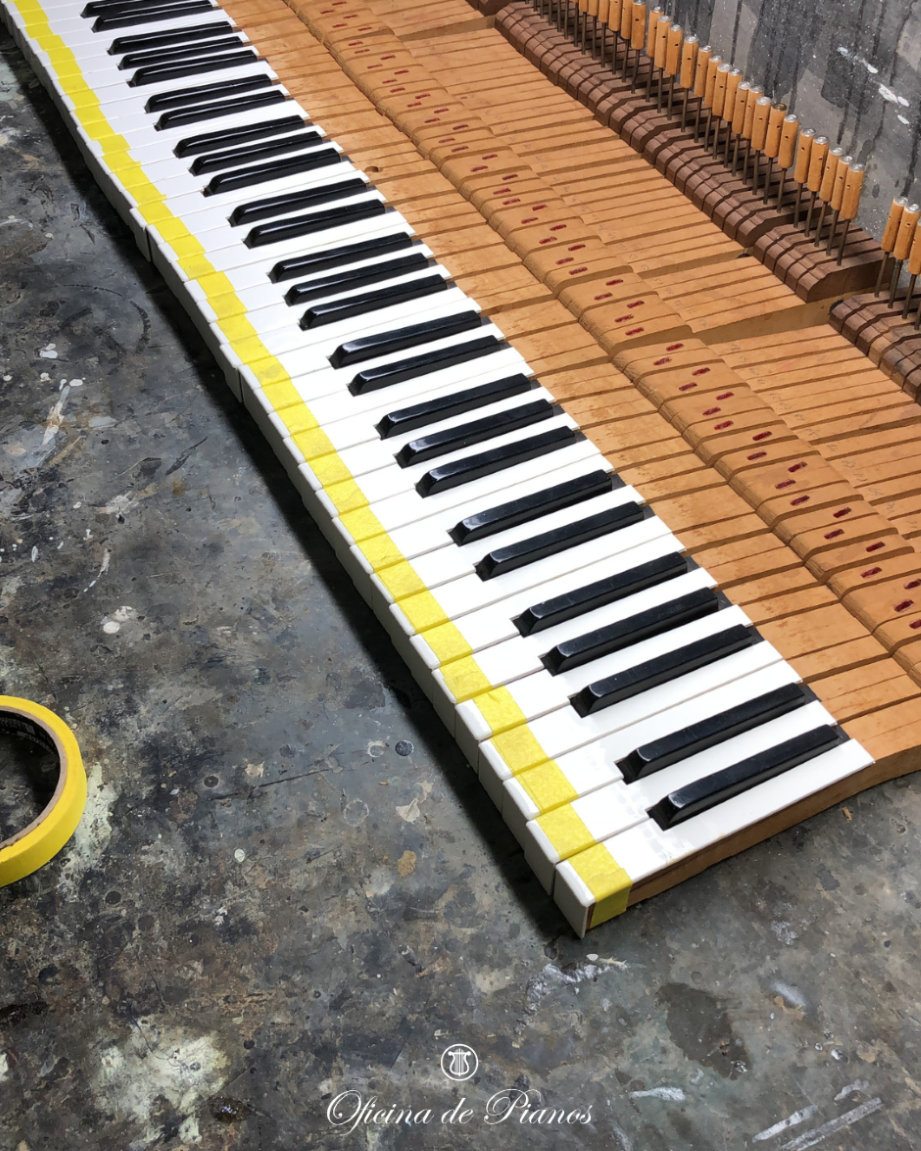 Restauração, Afinação, Transporte Manutenção, Compra e Venda.