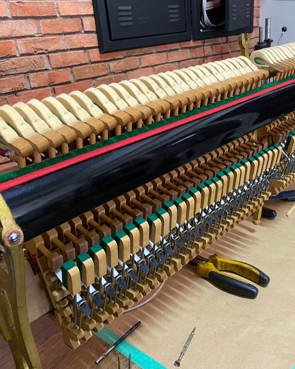 Restauração, Afinação, Transporte, Manutenção, Compra e Venda.