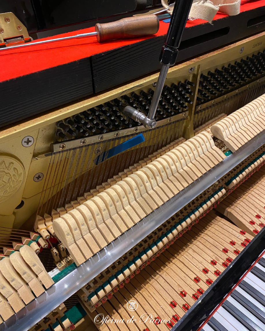 Restauração, Afinação, Transporte, Manutenção, Compra e Venda.