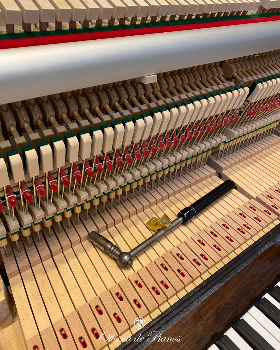 Restauração, Afinação, Transporte, Manutenção, Compra e Venda.