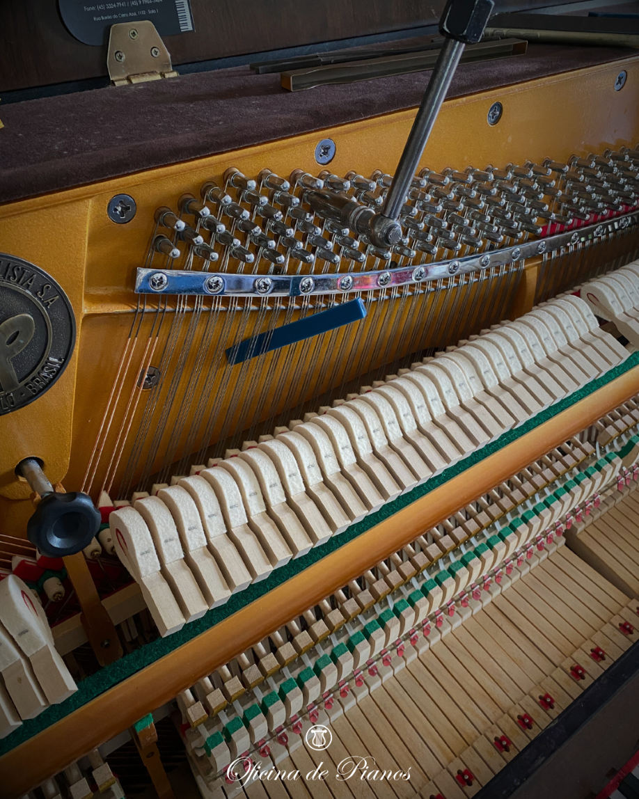 Restauração, Afinação, Transporte, Manutenção, Compra e Venda.