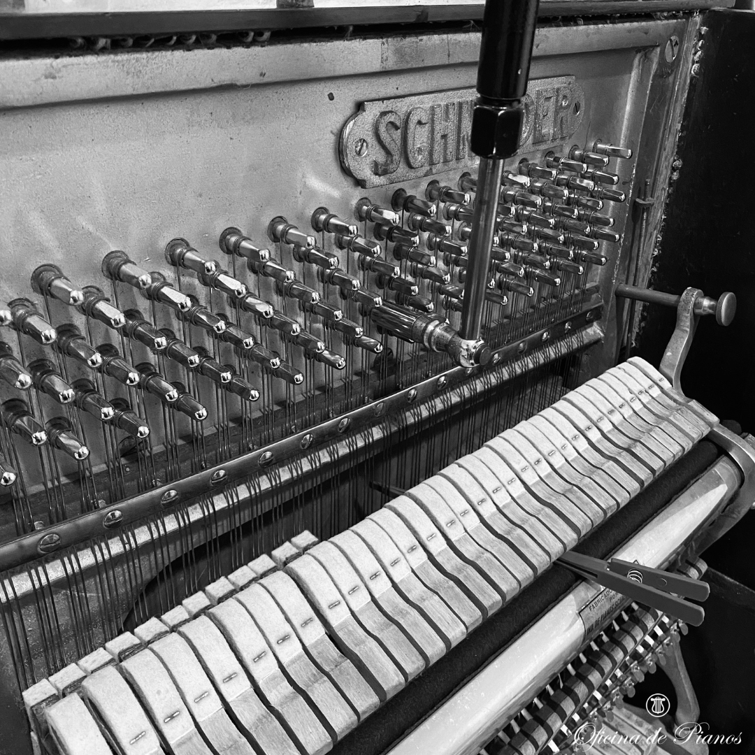Empresa especializada em pianos acústicos. Restauração, afinação, manutenção, transporte, compra e venda.