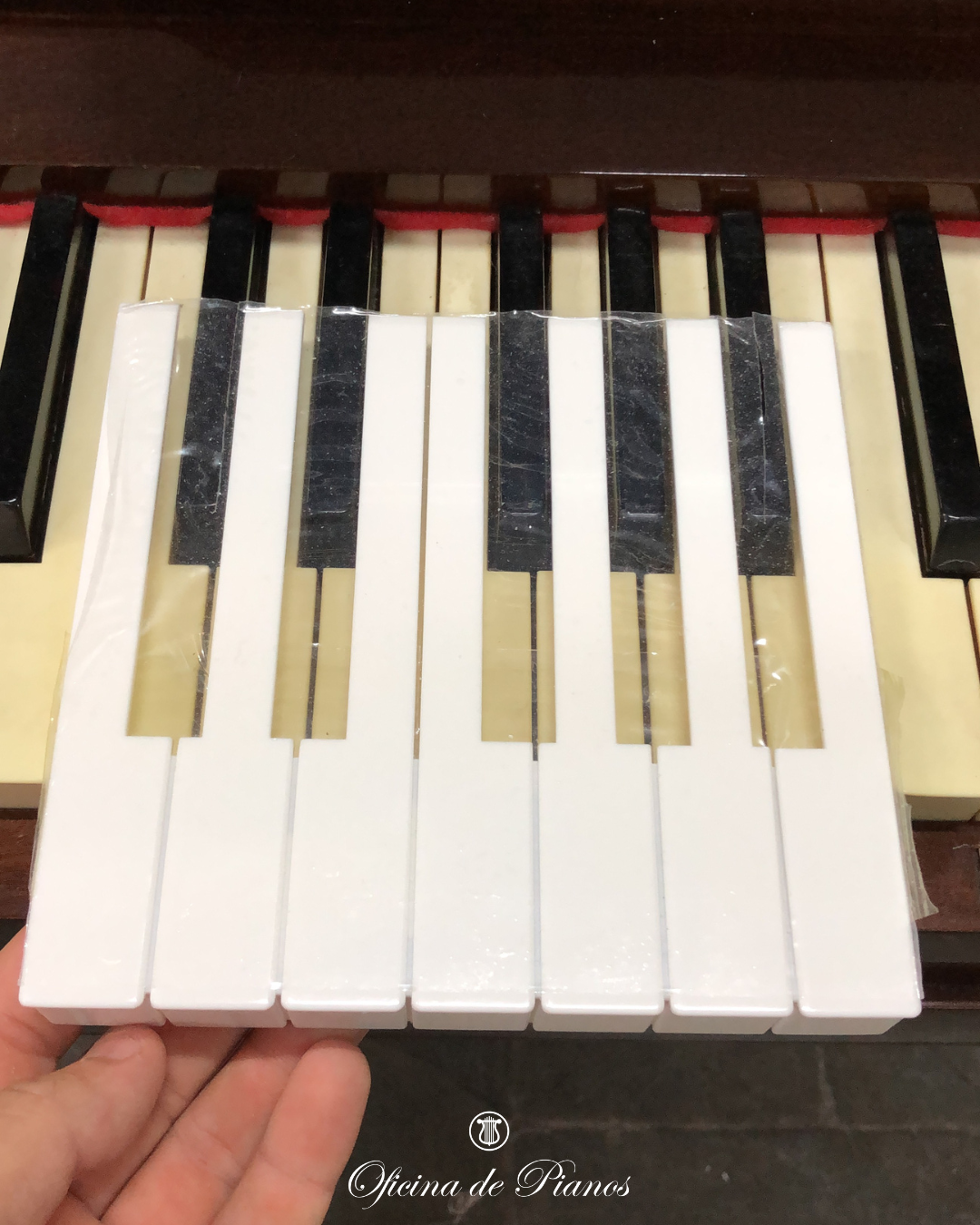 Restauração, Afinação, Transporte Manutenção, Compra e Venda.