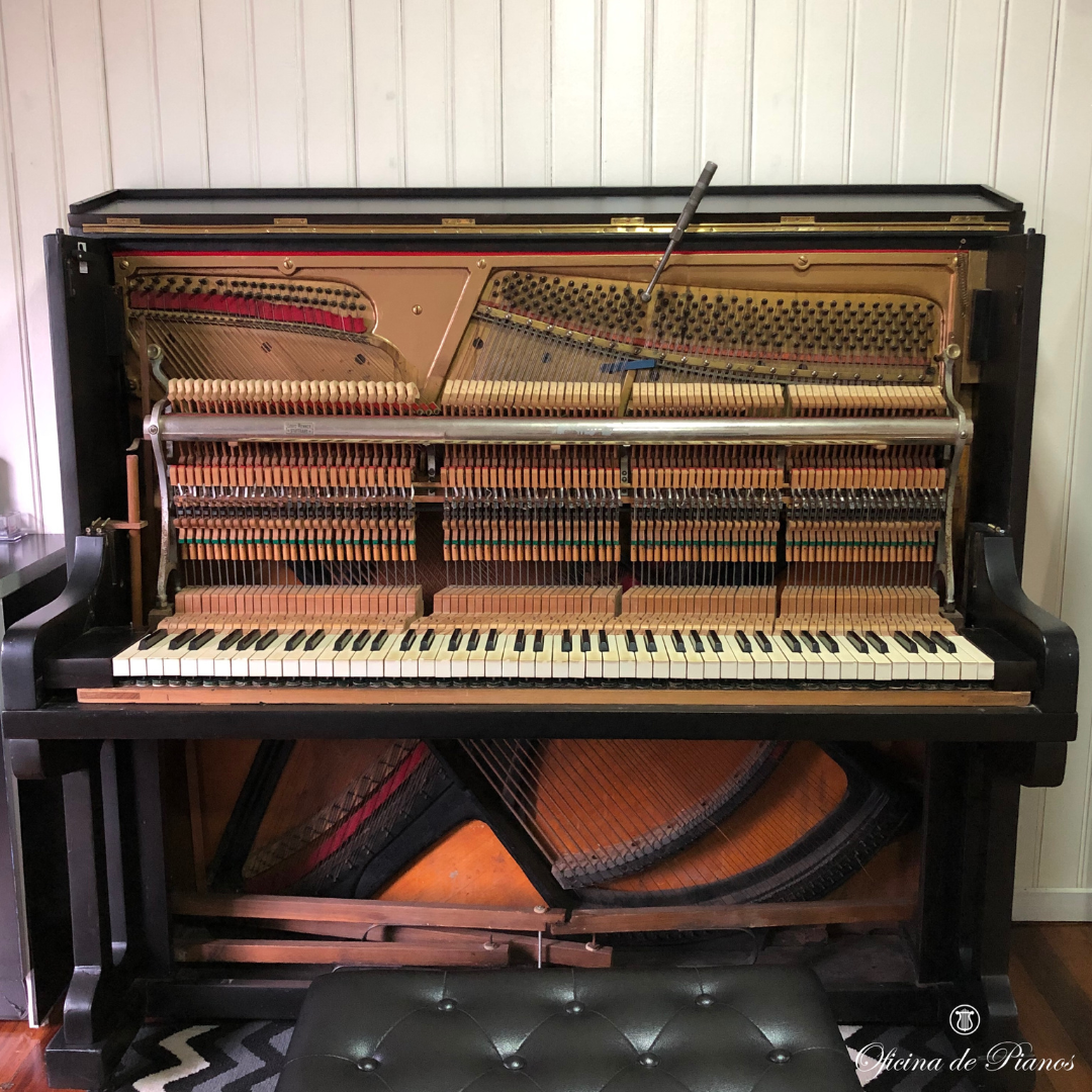 Restauração, Afinação, Transporte, Manutenção, Compra e Venda.