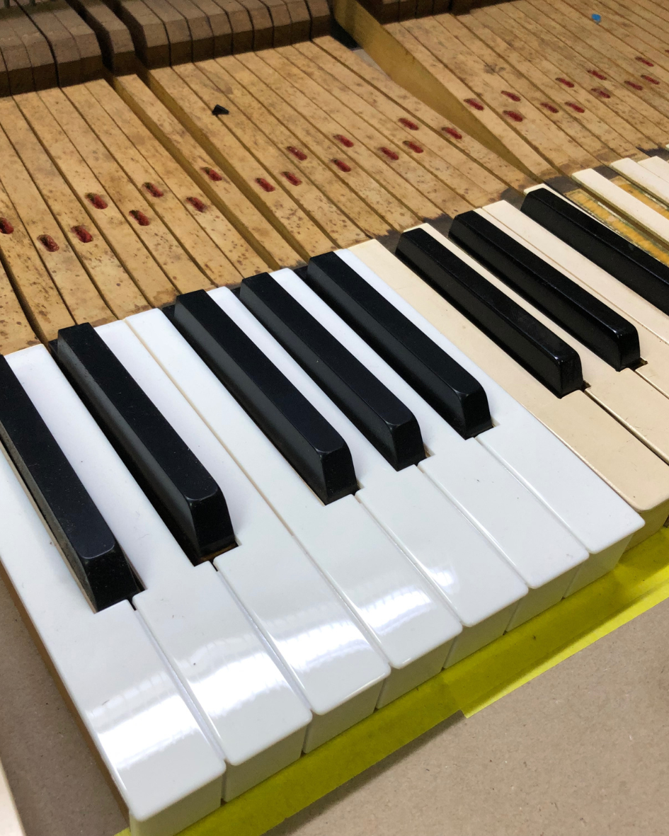 Restauração, Afinação, Transporte Manutenção, Compra e Venda.