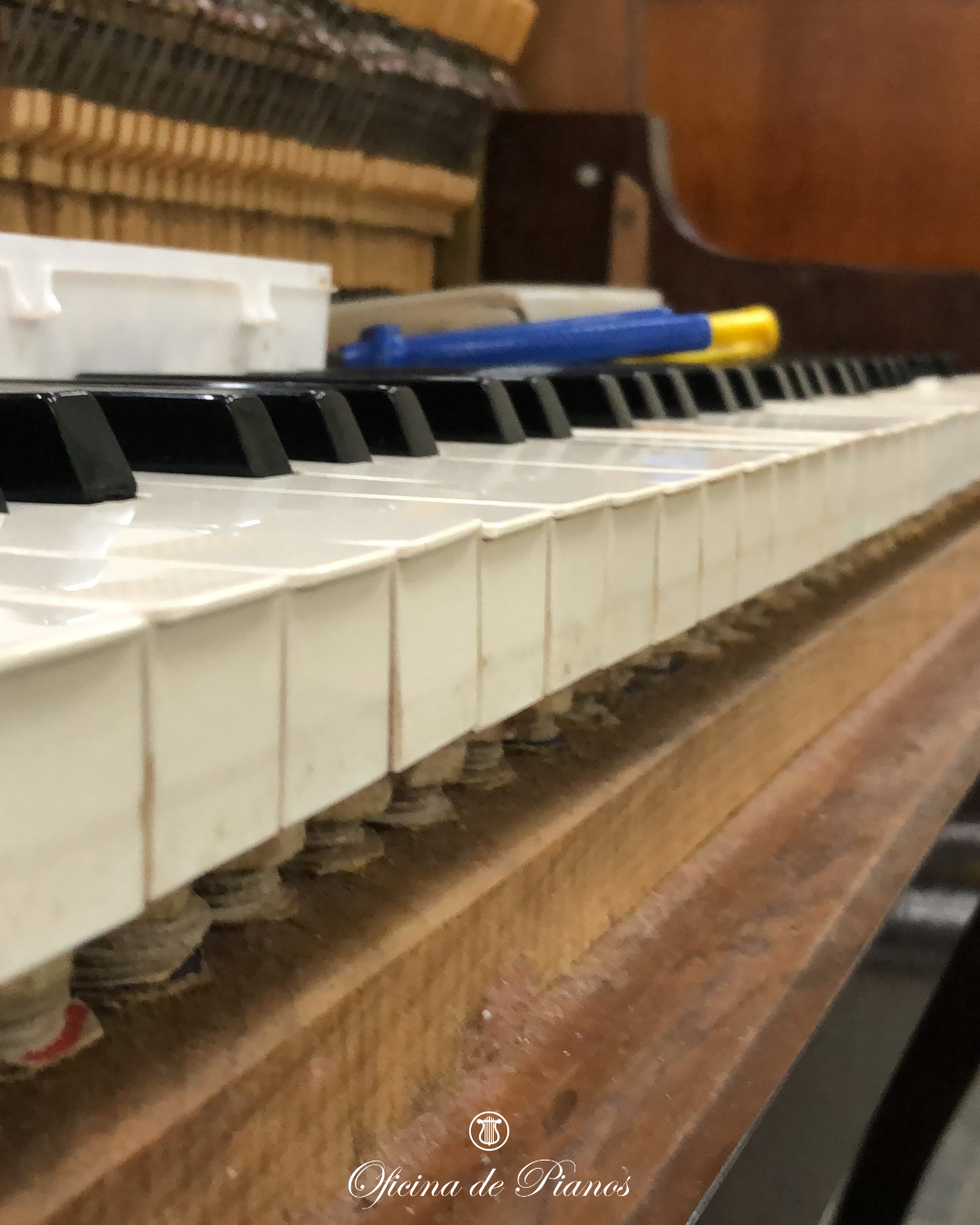 Restauração, Afinação, Transporte, Manutenção, Compra e Venda.